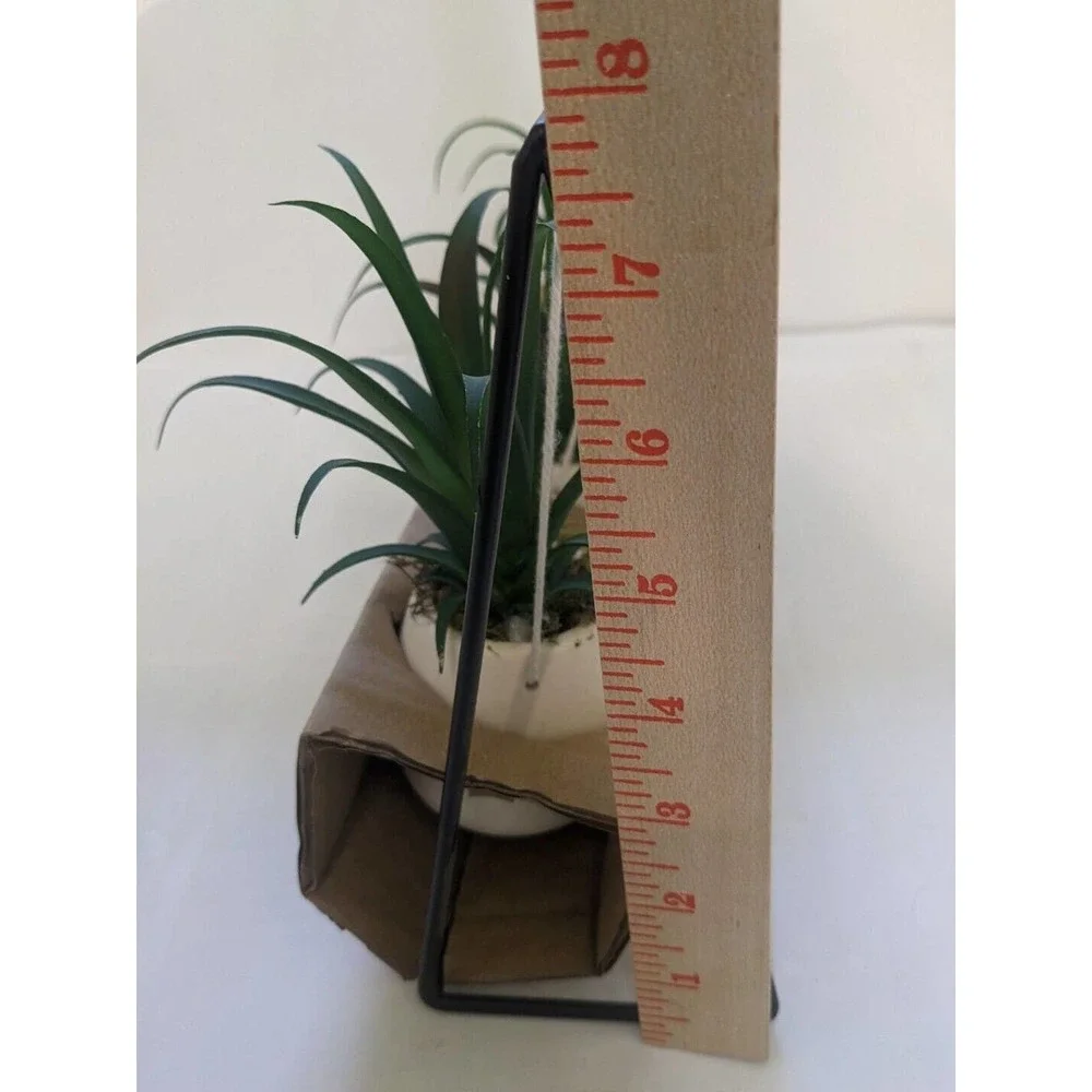 Set 3 pcs Hanging Cactus Cacti in Planters Indoor Rope Hanger Flower Pot Basket